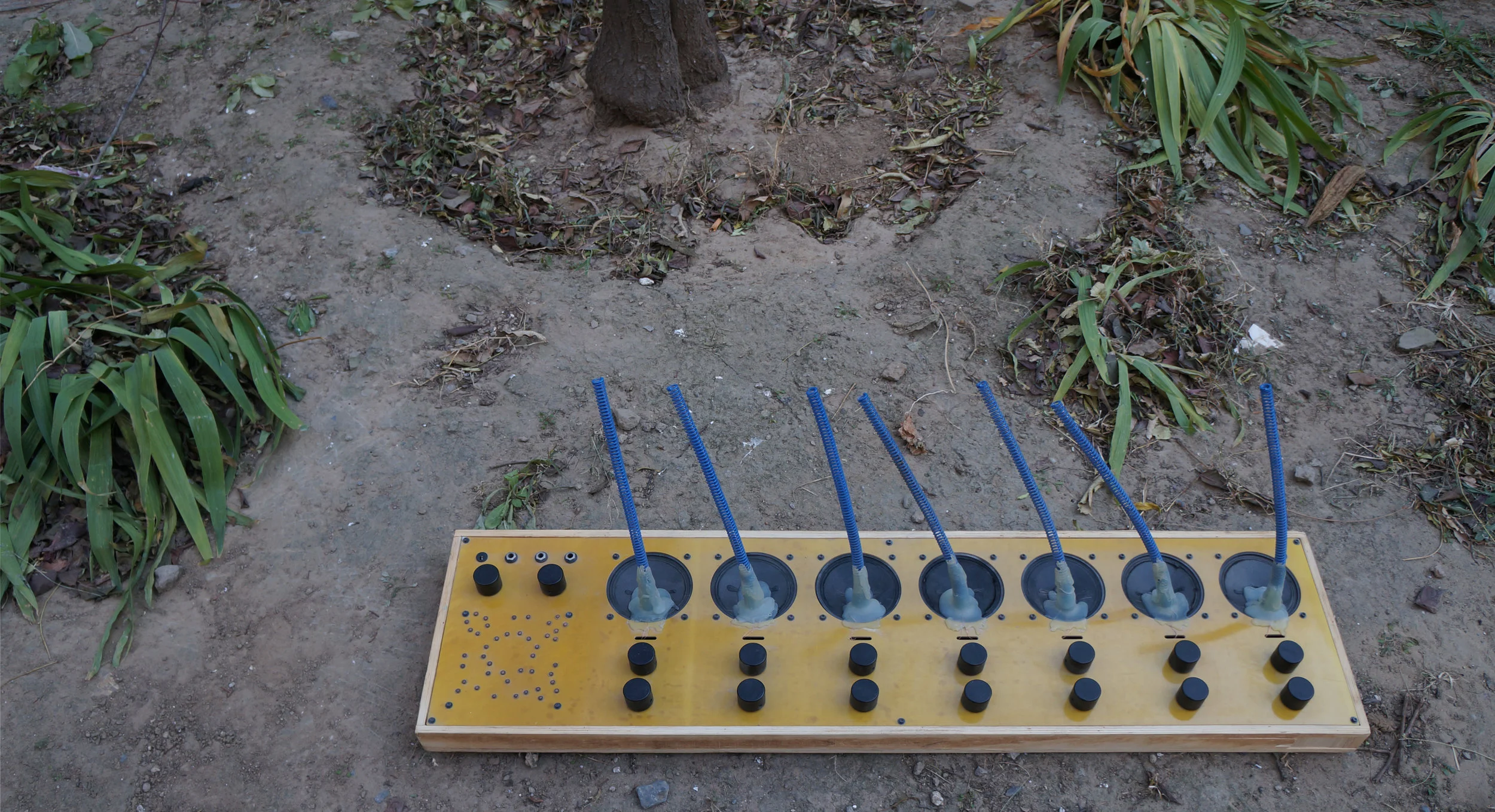 Aether Zither 2.jpg