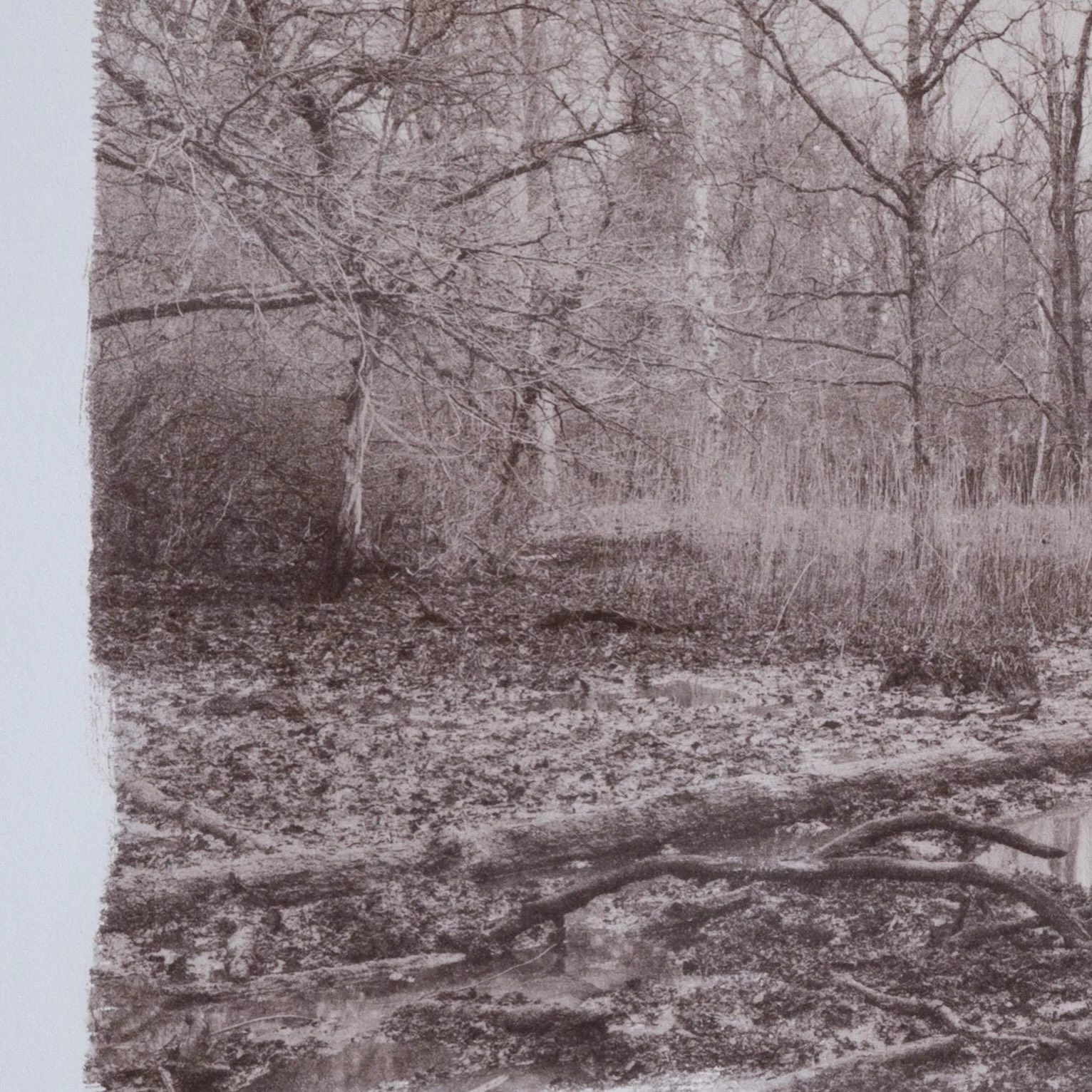 In BLACK WELL, WHITE GOLD by @tanja_engelberts panoramic landscapes of oil-soaked forest printed in Van Dyke brown meet colour night shots of a lithium site operating in the same area.

Two centuries apart, the same ground is asked for a different su