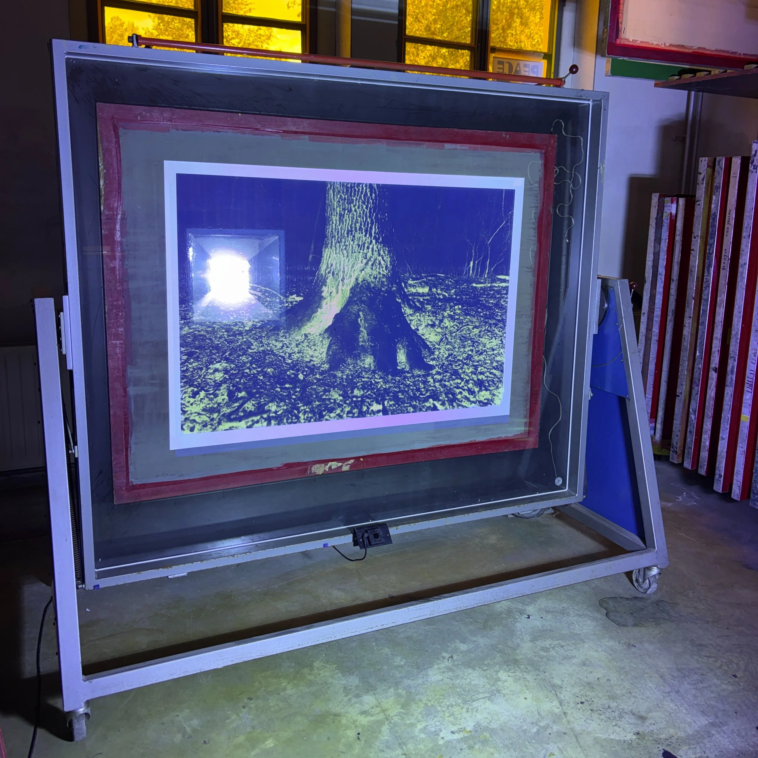 A small peek into the making of these giant Van Dyke prints. Luckily, I had the expertise of @kees.brandenburg and the knowledge and space offered by @pieter_verweij and @rijksakademie, and last but not least, my lovely assistant @eef.dev.

These pri