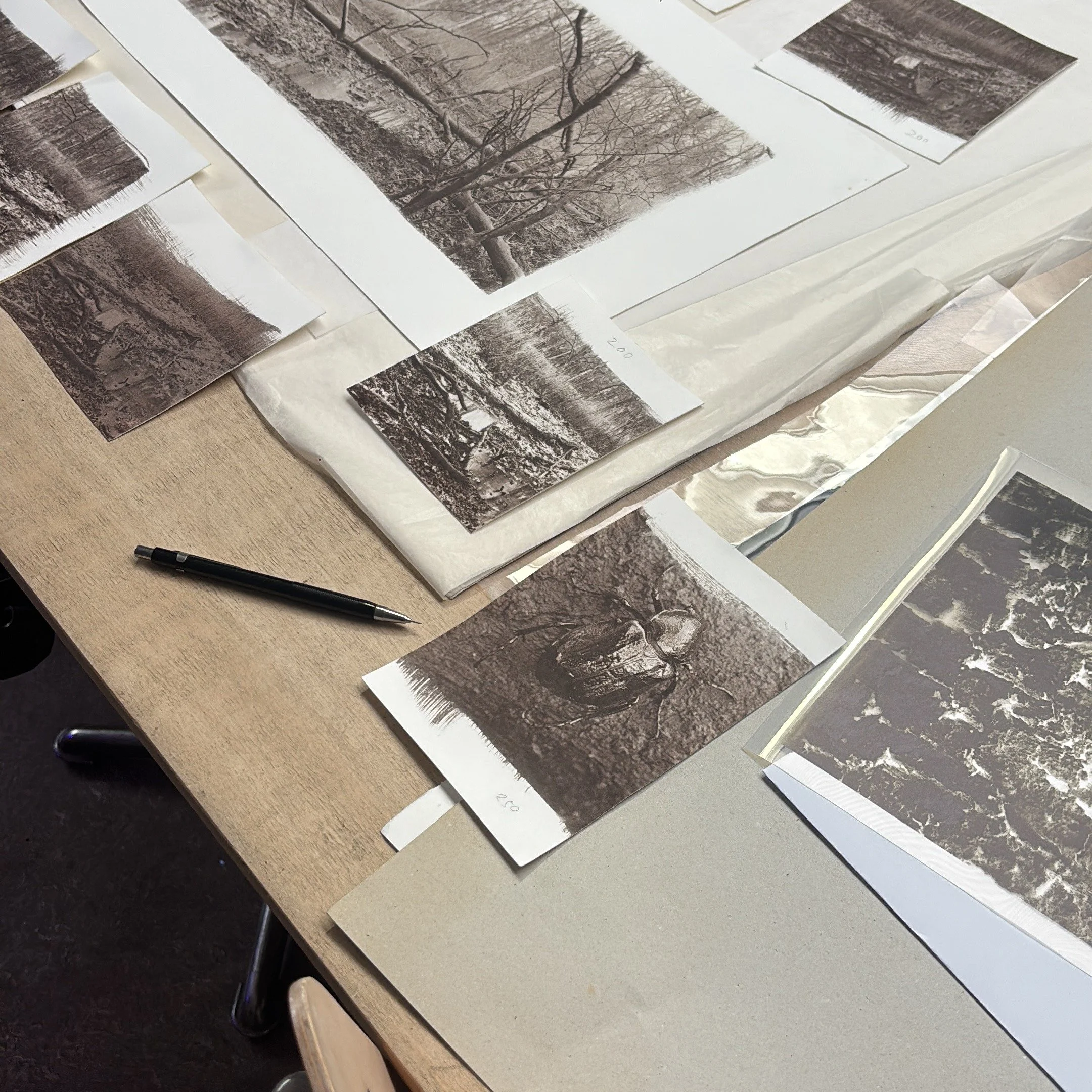 To create images that carry the sense of the past while remaining grounded in the present, I asked specialist Kees Brandenburg to work with me on Van Dyke brown prints. @kees.brandenburg a specialist in historic printing processes, advised me on whic