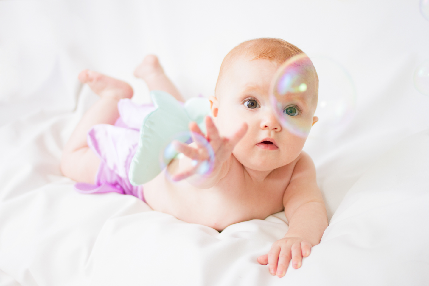 2013_LILY_017.jpg