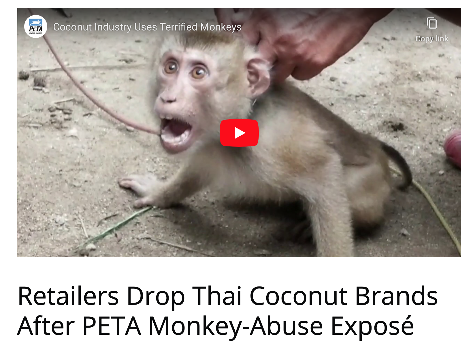 PETA, July 2020