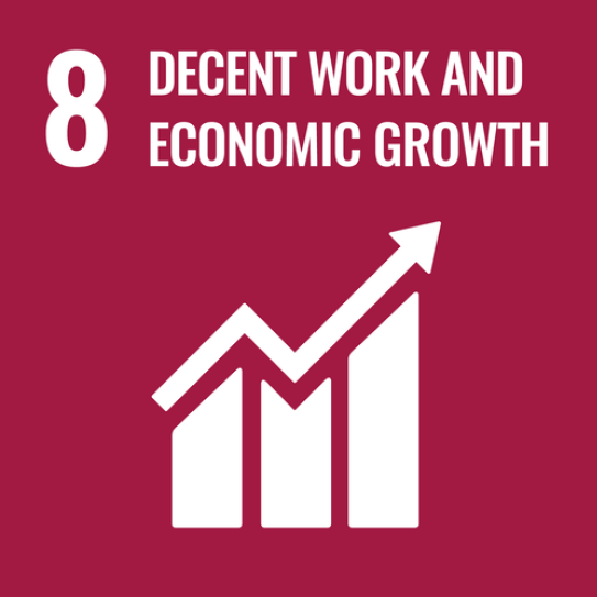 sdg 8.png