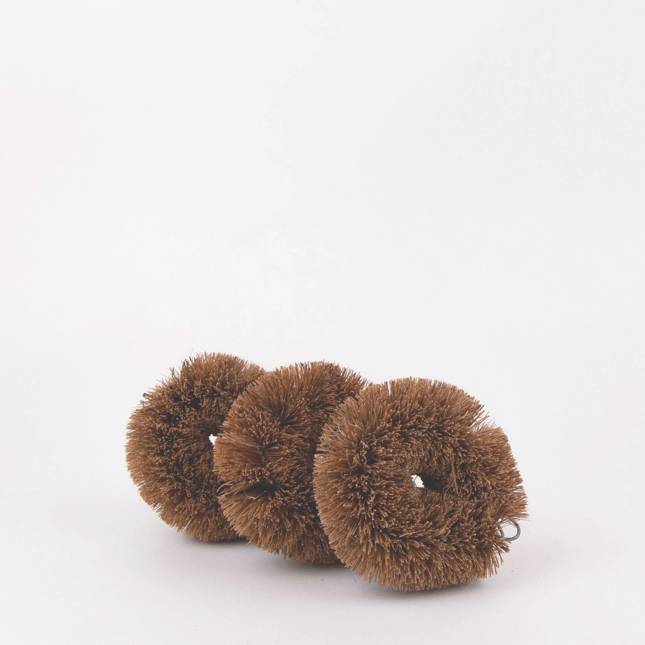 Coconut scrubber.jpg