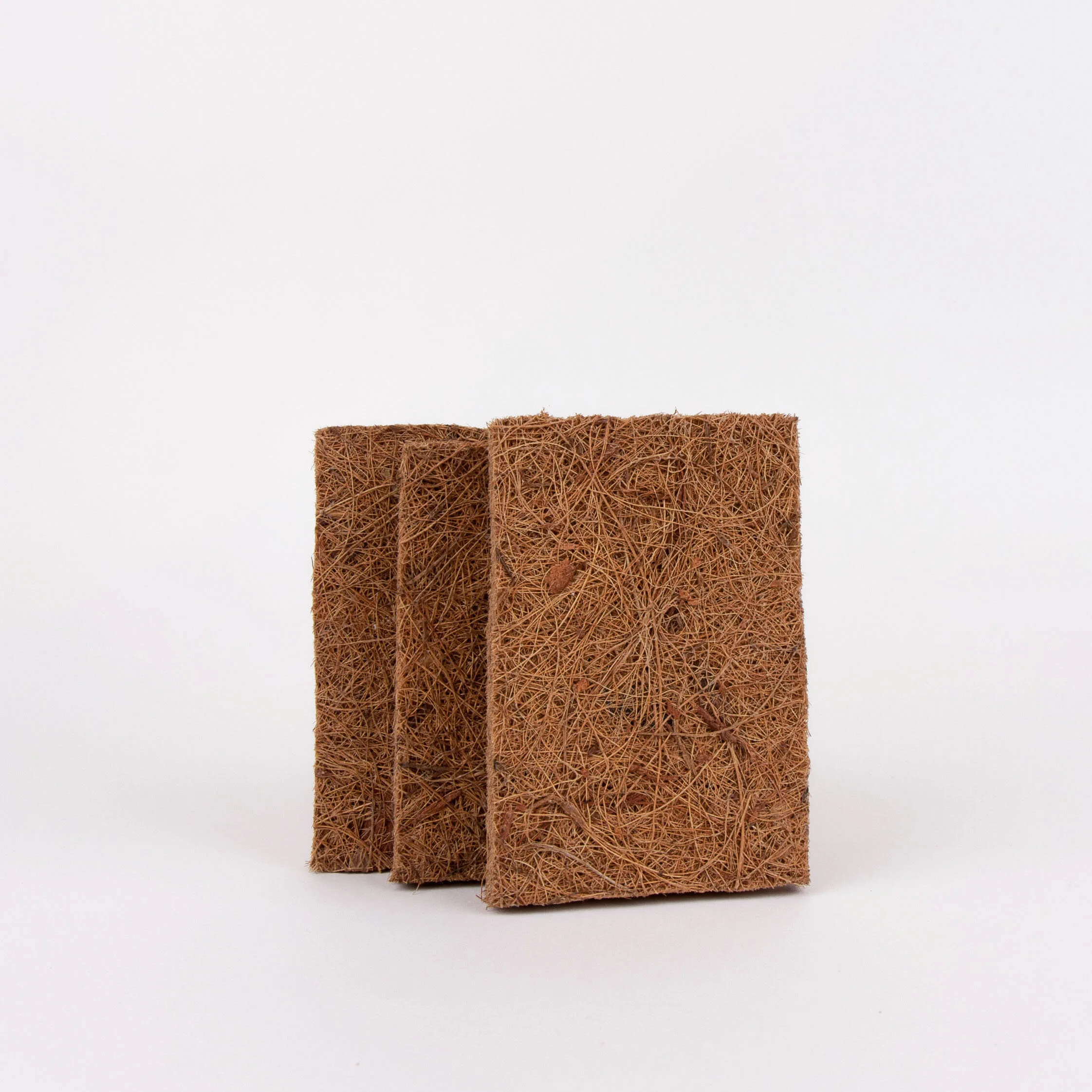 Coconut sponge.jpg