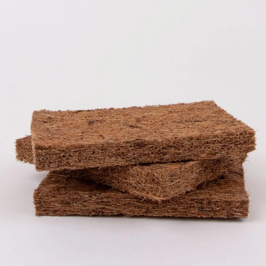 Coconut sponge.jpg