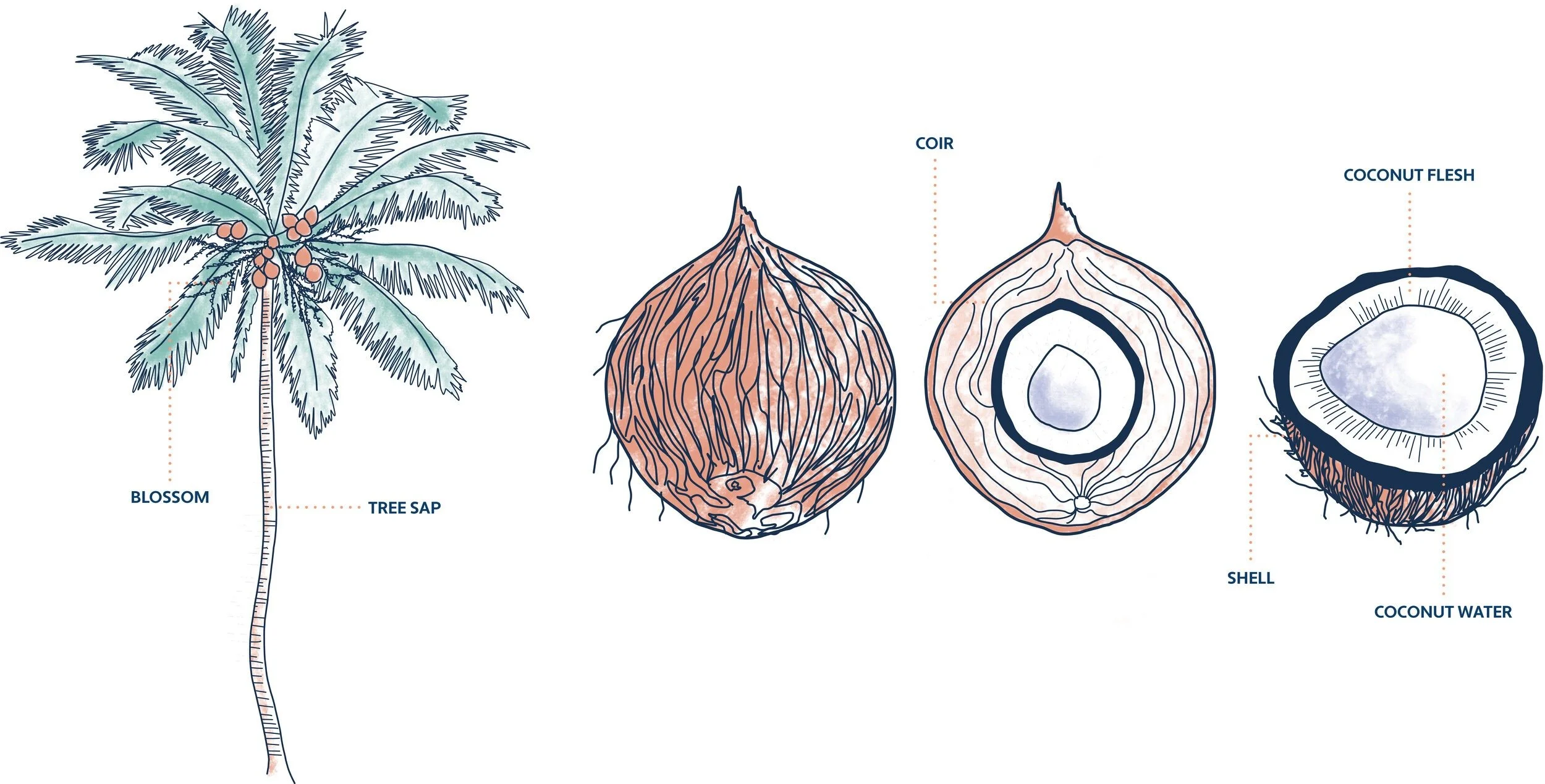 Zero Waste Production from a Zero Waste Tree. What does this mean?