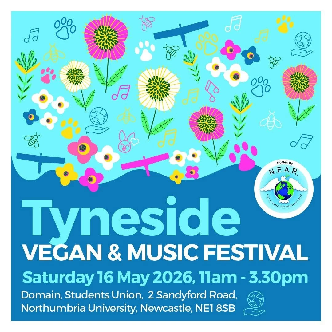 Tyneside Vegan and Music Festival