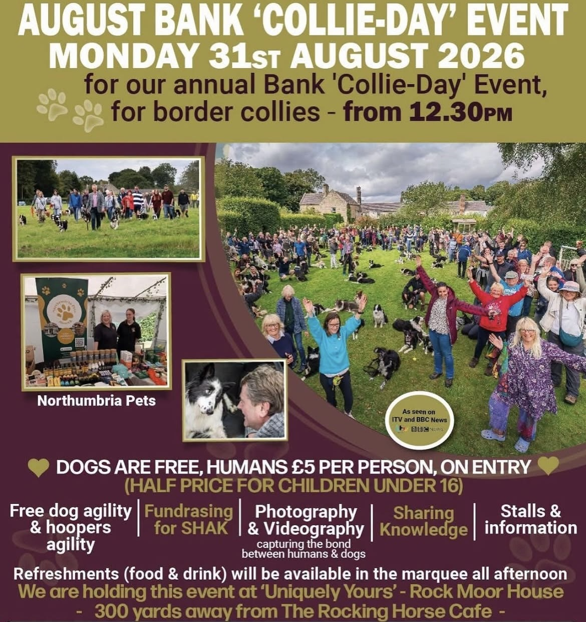 Bank Collie Day