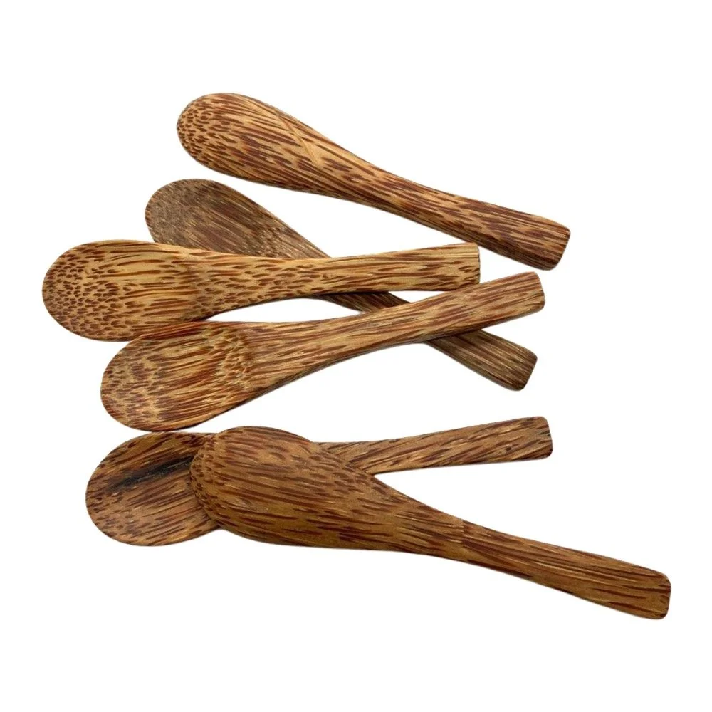 coconut wood mini spoon