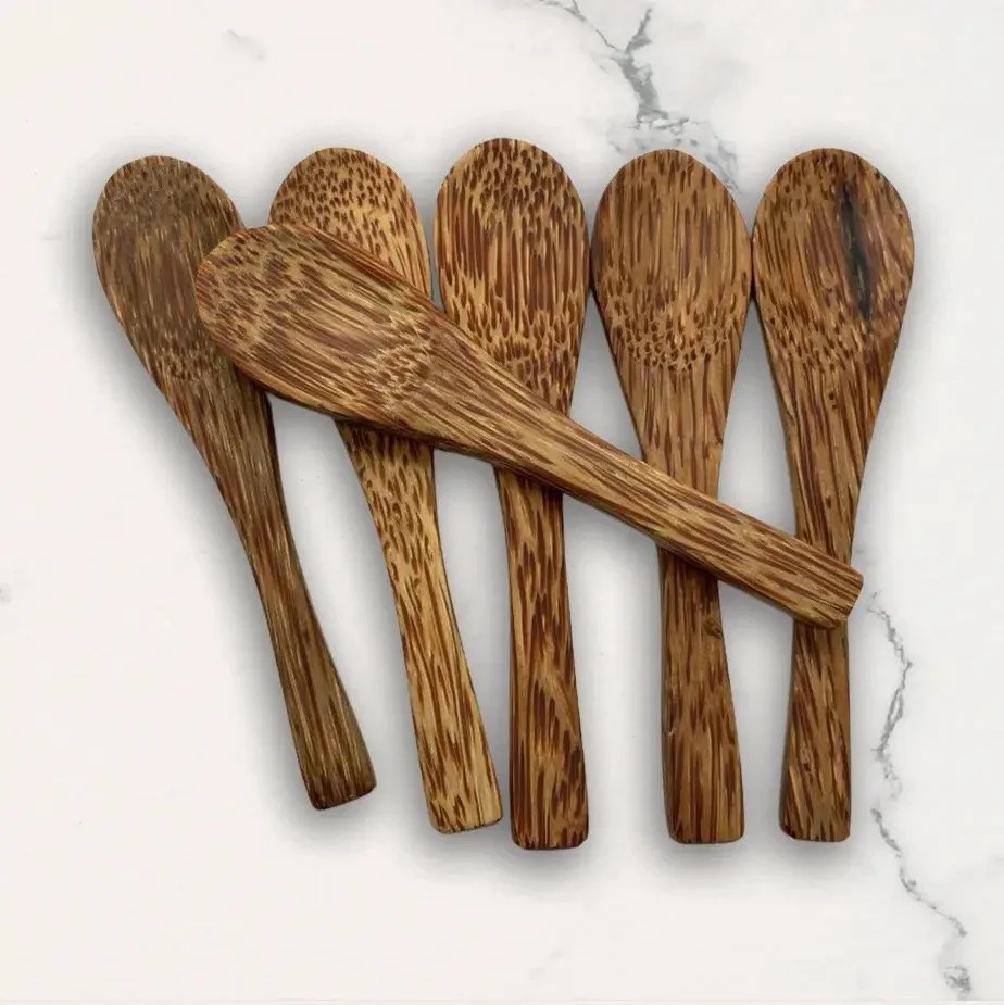 coconut wood mini spoon
