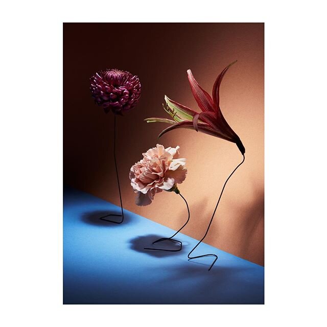 &gt;&gt;NEW PERSONAL WORK&lt;&lt;
&ldquo;Florescence&rdquo; with @dalkarls ...
#linneaapelqvistsetdesign #setdesign #stilllife #artdirection @agentmollyandco