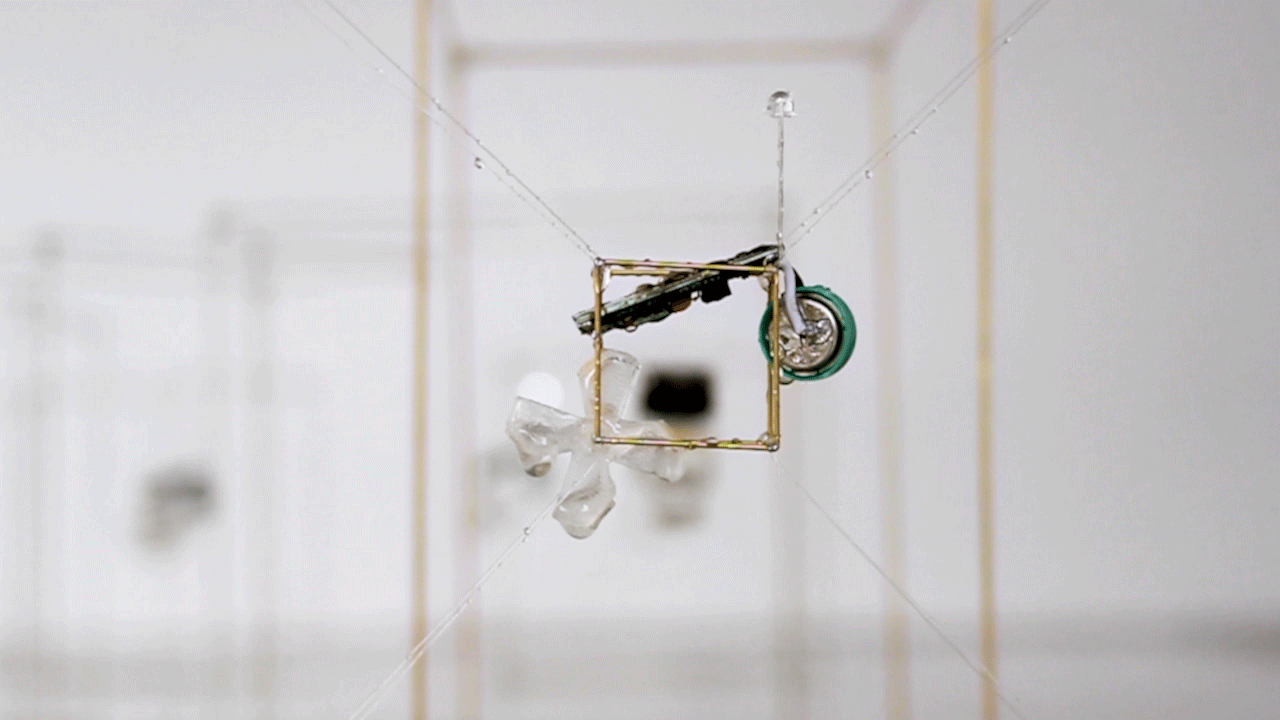 AlexandMarcel MEV01_animatedGIF.gif