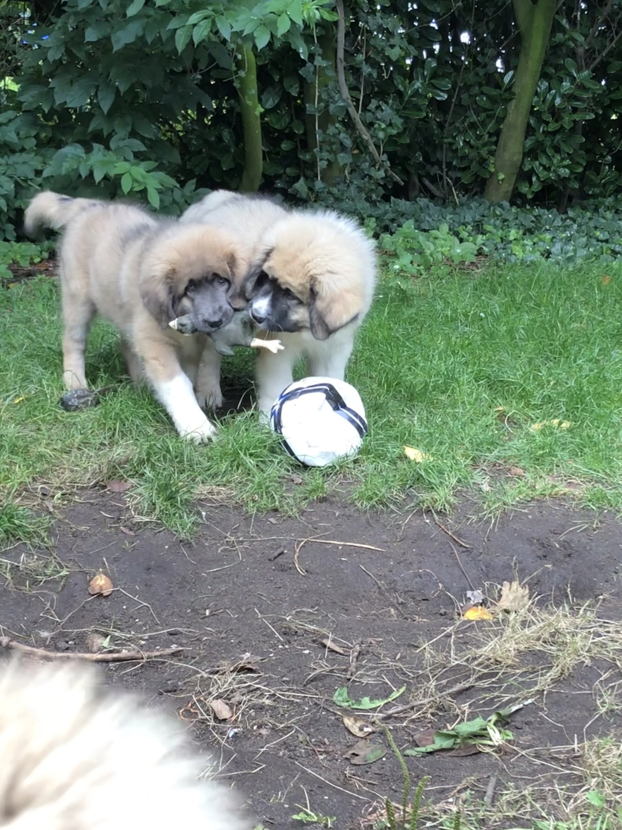 lekker samen spelen