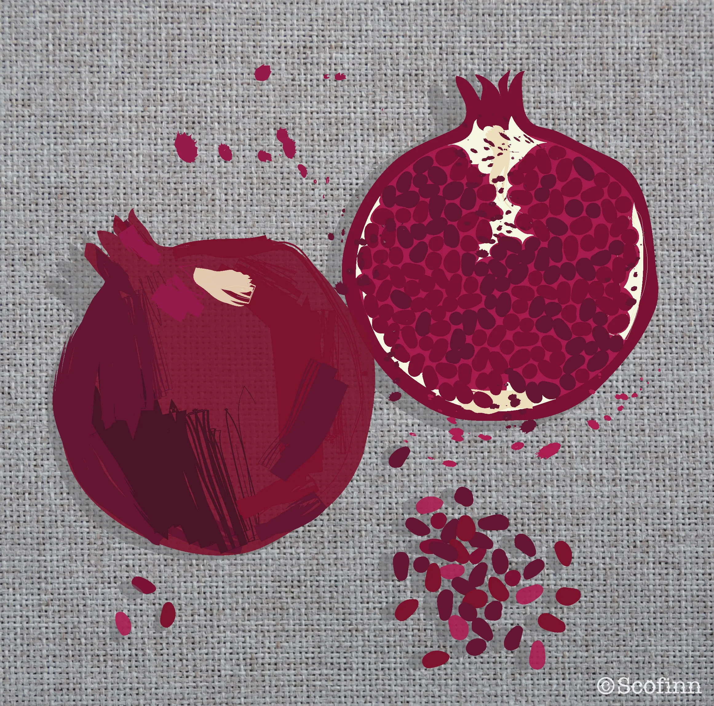 pomegranate (expanded lines)-01.jpg
