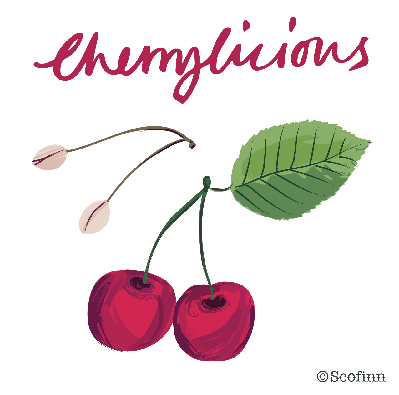 Screen Shot 2017-07-10 at 14.37.04.png