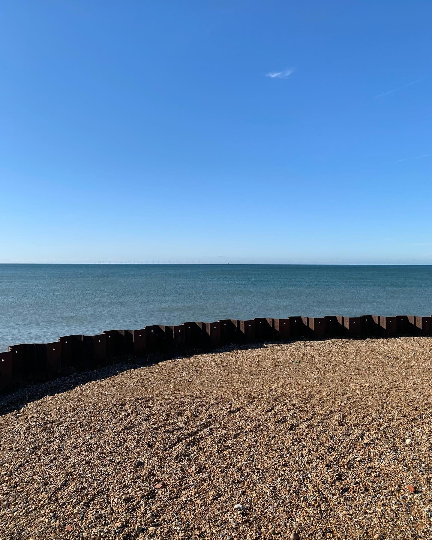 Feeling blue? Beginning to look promising out there&hellip; if still a bit nippy! 💙💙💙