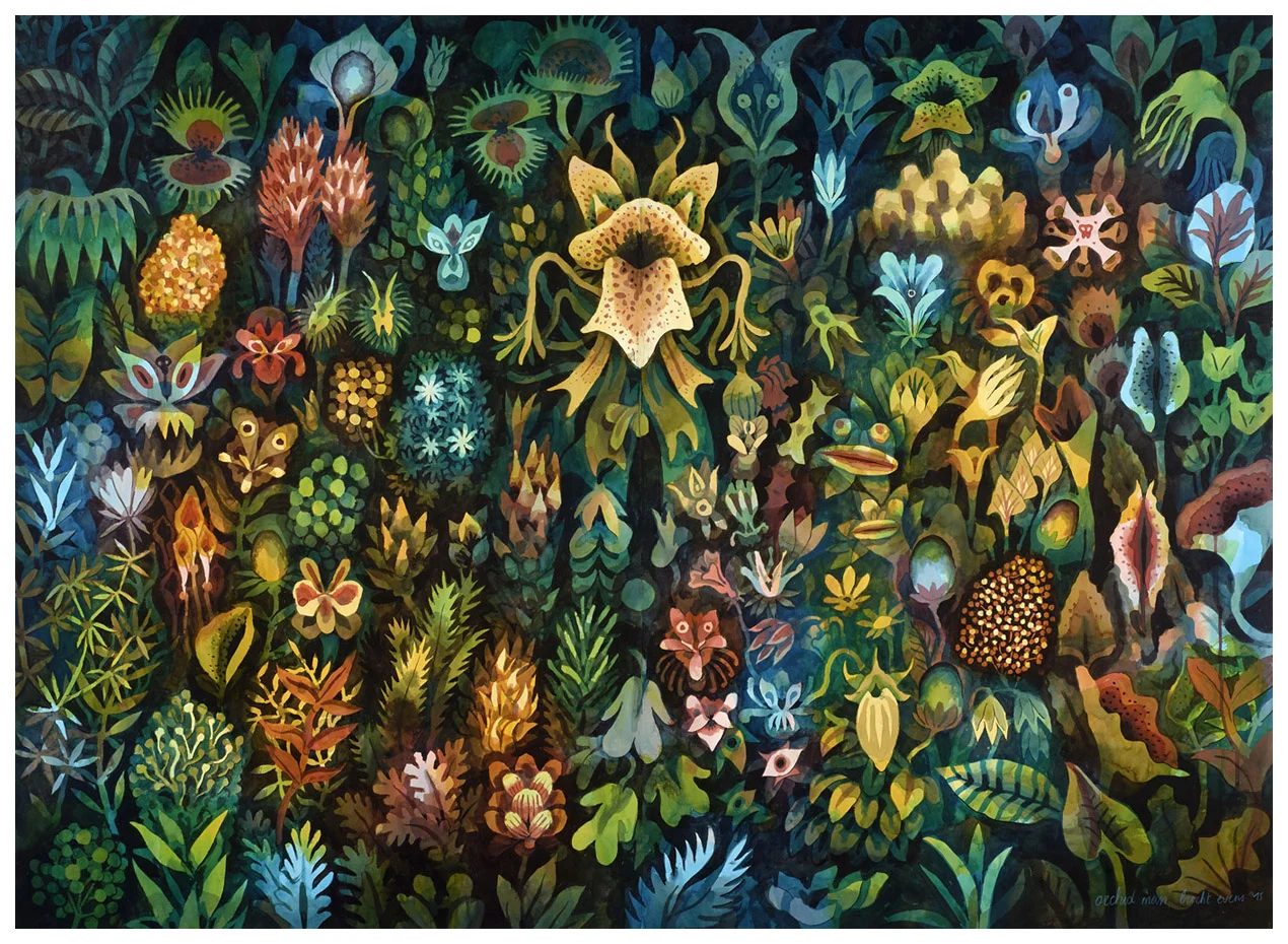 orchid man, 2015
