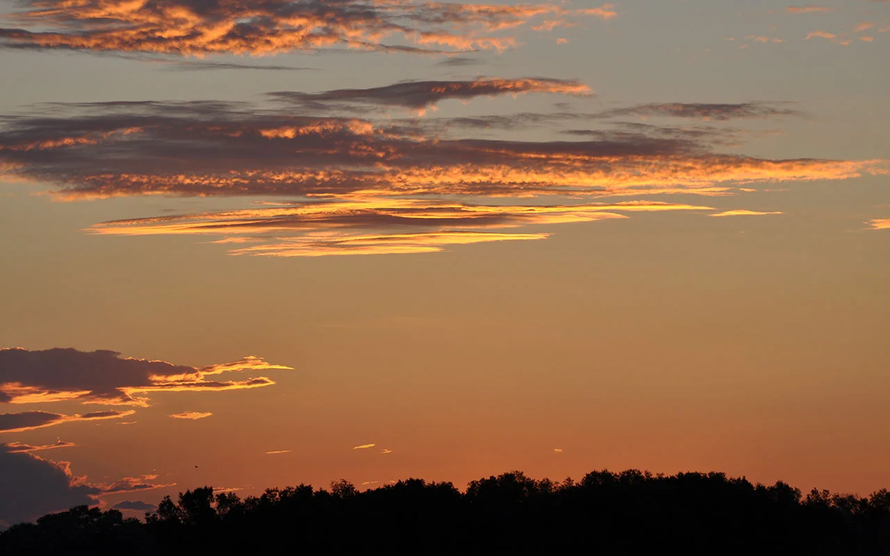 DSC_0563X.JPG