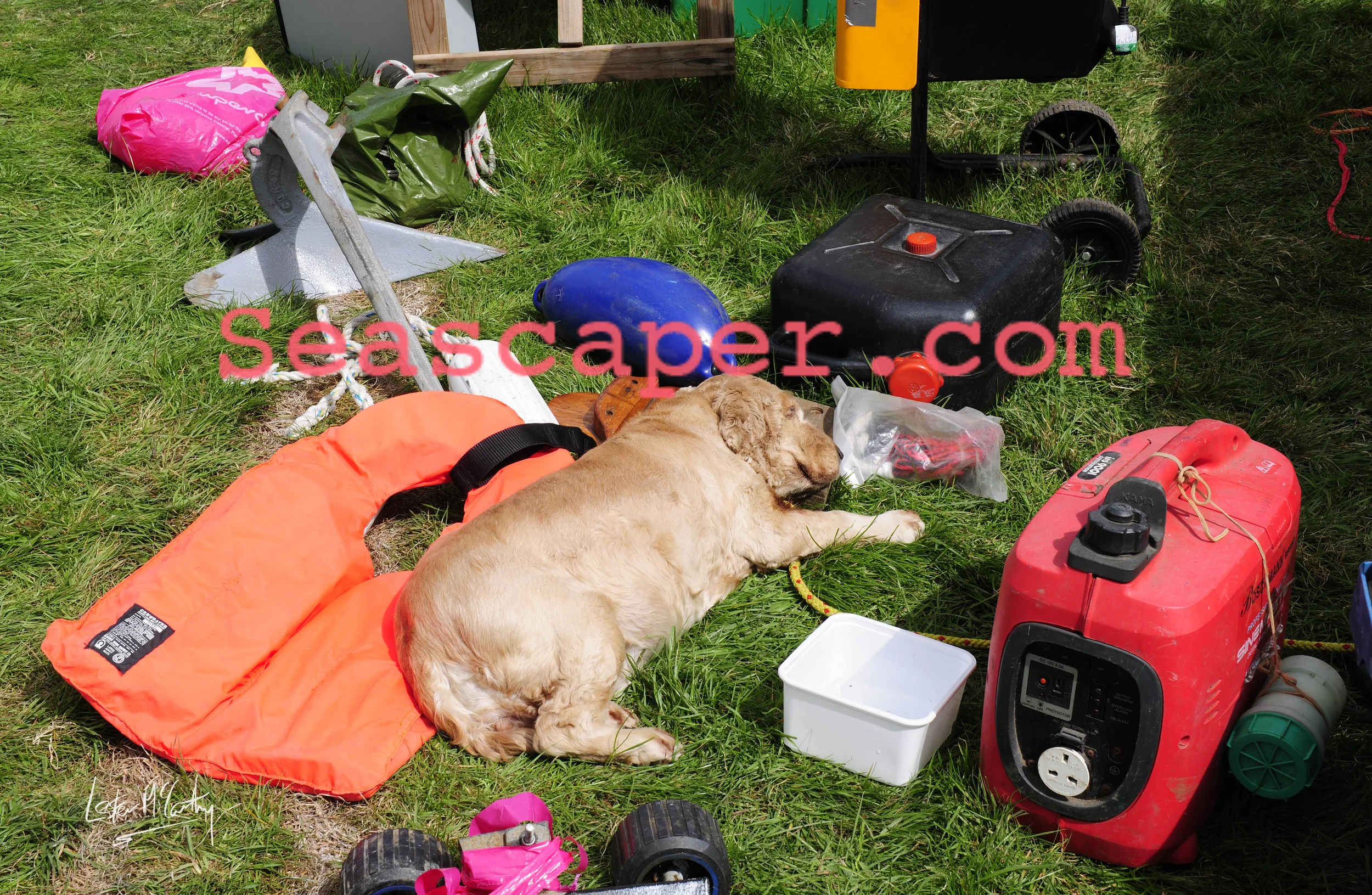 Beaulieu Boat Jumble