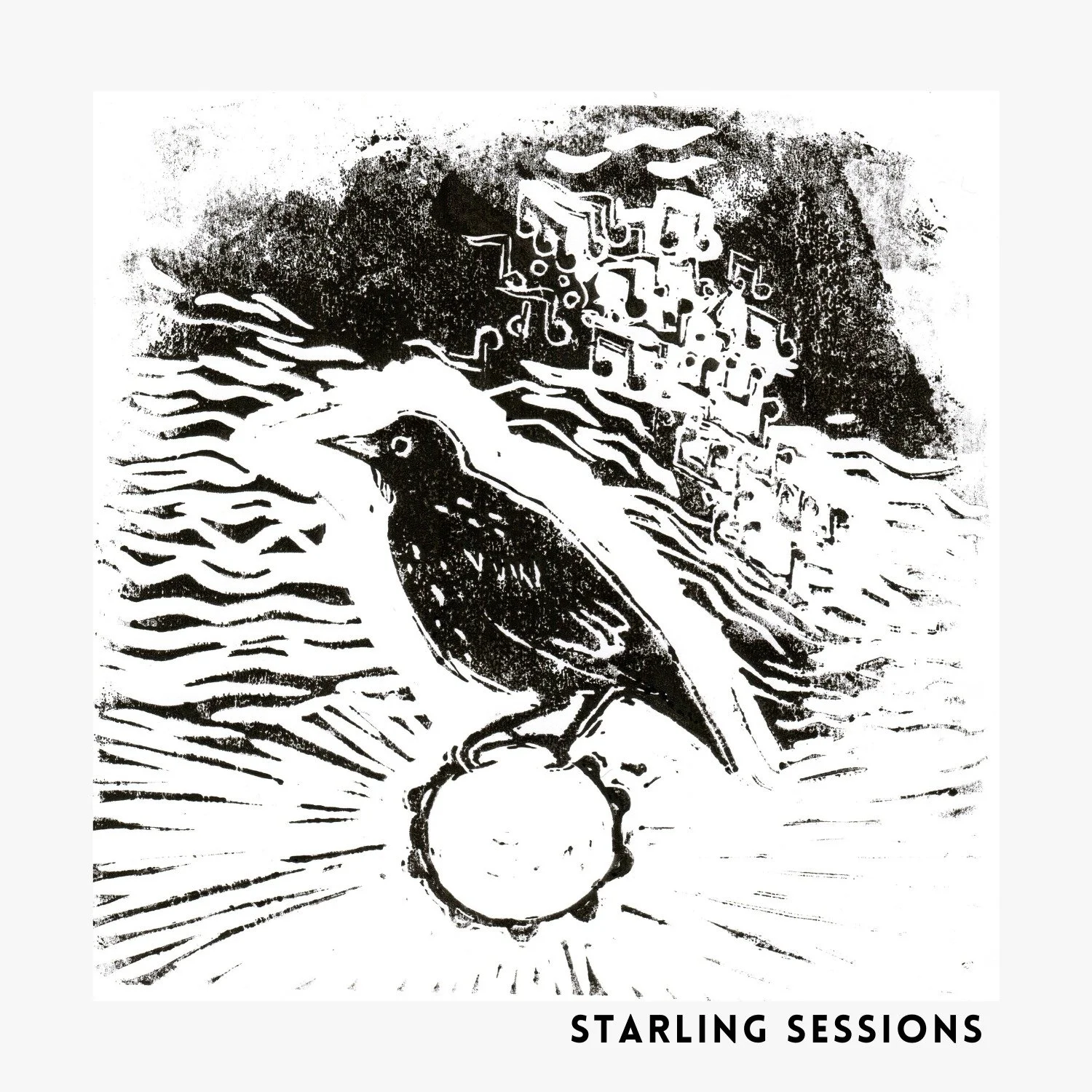 Starling Sessions