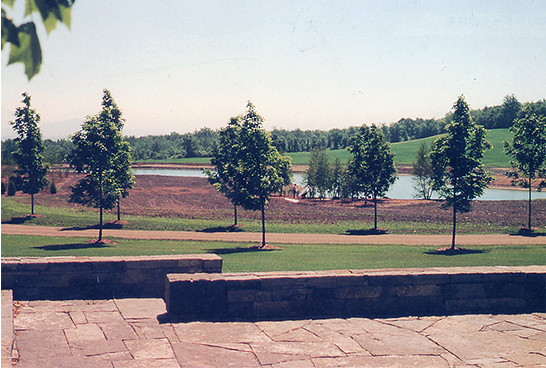 PRIVATE RES ESSEX 2.jpg