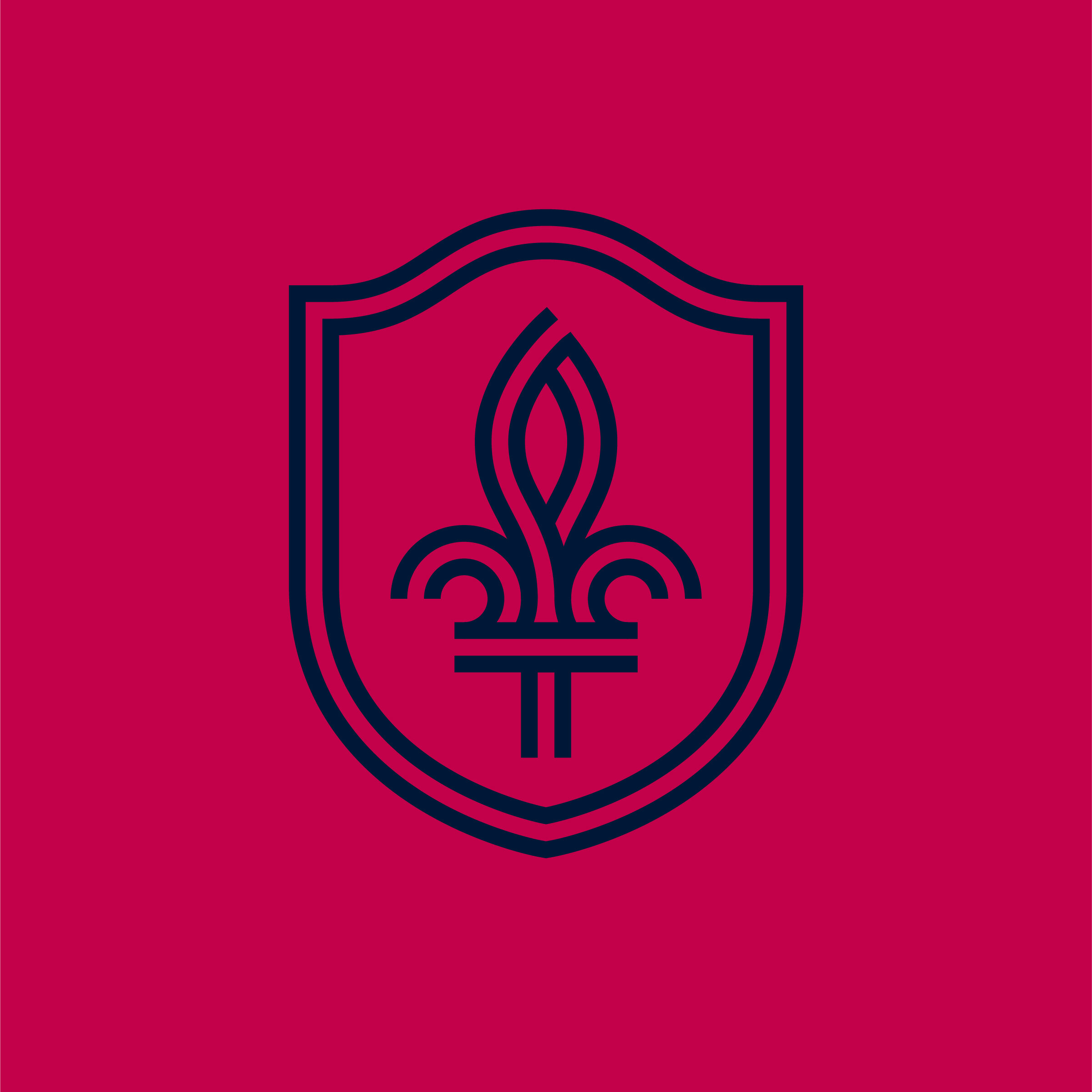  St Louis City SC Flag, Licensed Flag 5ftx 3ft