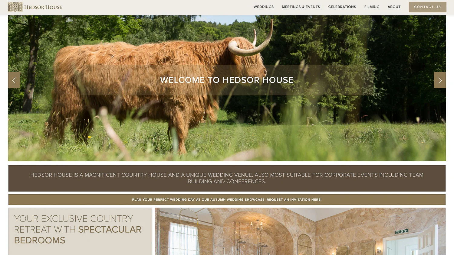 Squarespace-design-development-32-3.jpg