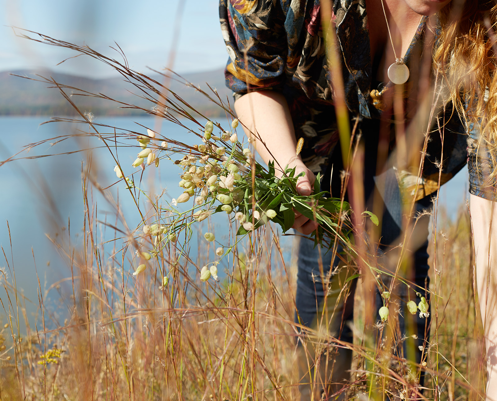 Woman picking wildflowers