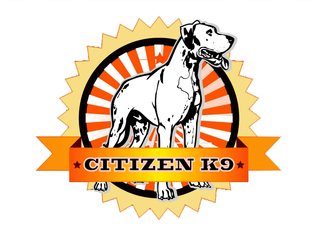 Total 50+ imagen citizen k9