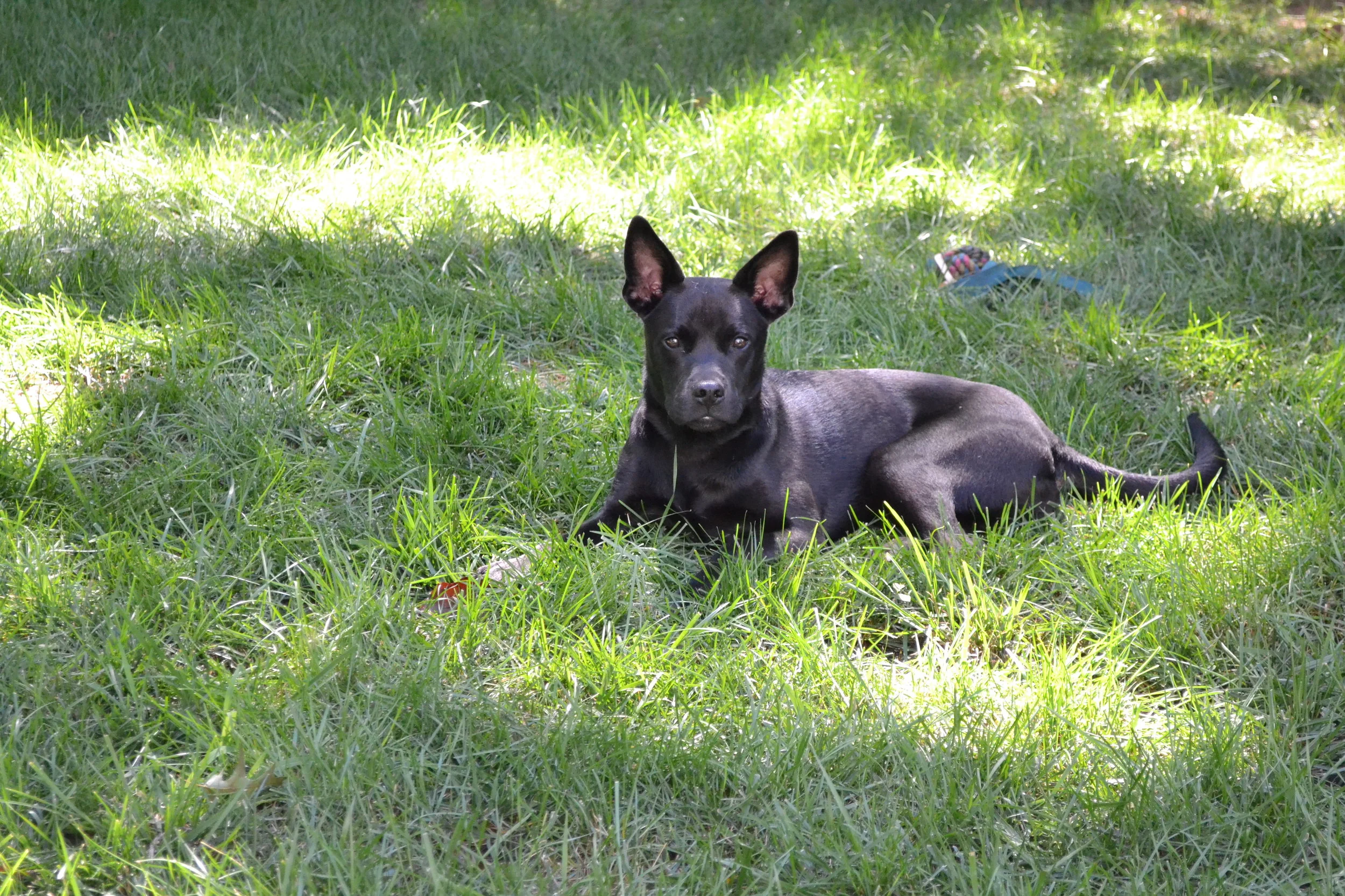 Reviews Page Header.JPG