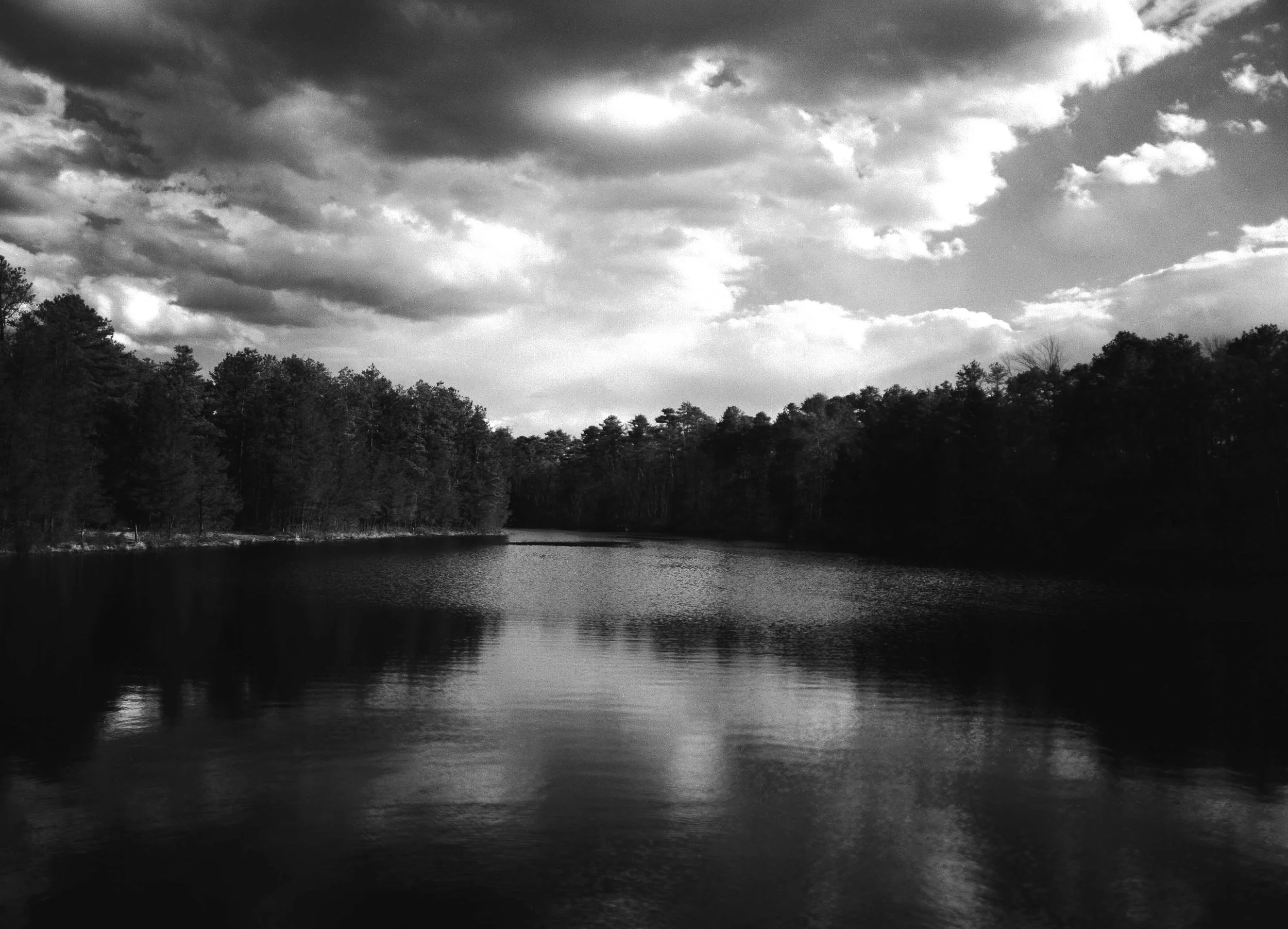 Pinebarrens lake B&W .jpg