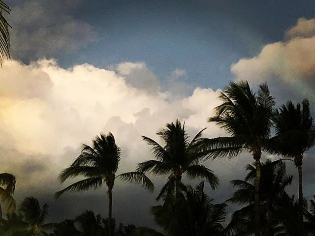 Weekend plans.⠀
.⠀ ⠀⠀
.⠀⠀
.⠀⠀
.⠀⠀
.⠀⠀
.⠀⠀
.⠀⠀
.⠀⠀
.⠀⠀
#surf #greenjuice #greenspowder #probiotics #riseandgrind #love #health #healthy #healthylife #bestself #swamis #trestles #beach #meditation #holistic #mindfulness #swami #inspiration #swamiblend 