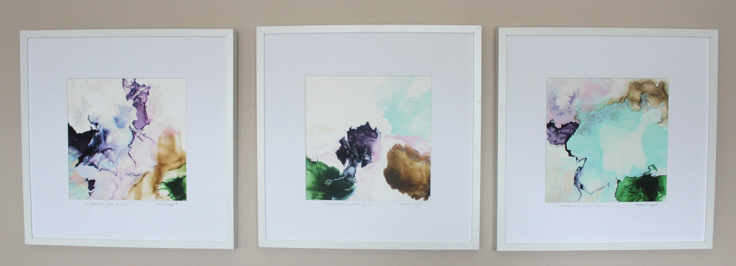 transformations series 3 prints framed grouping.jpg