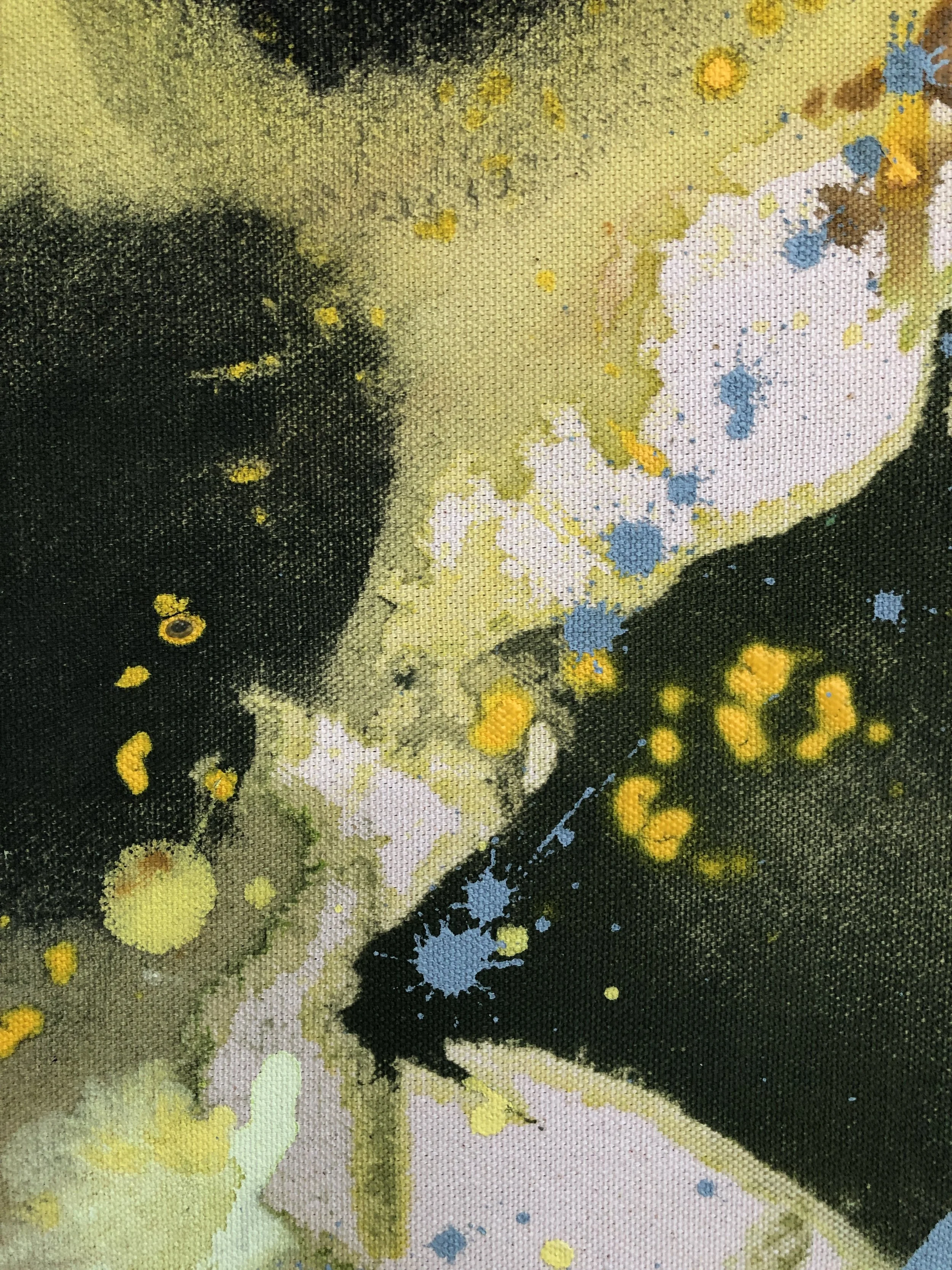 Zest 2 close up 2.JPG
