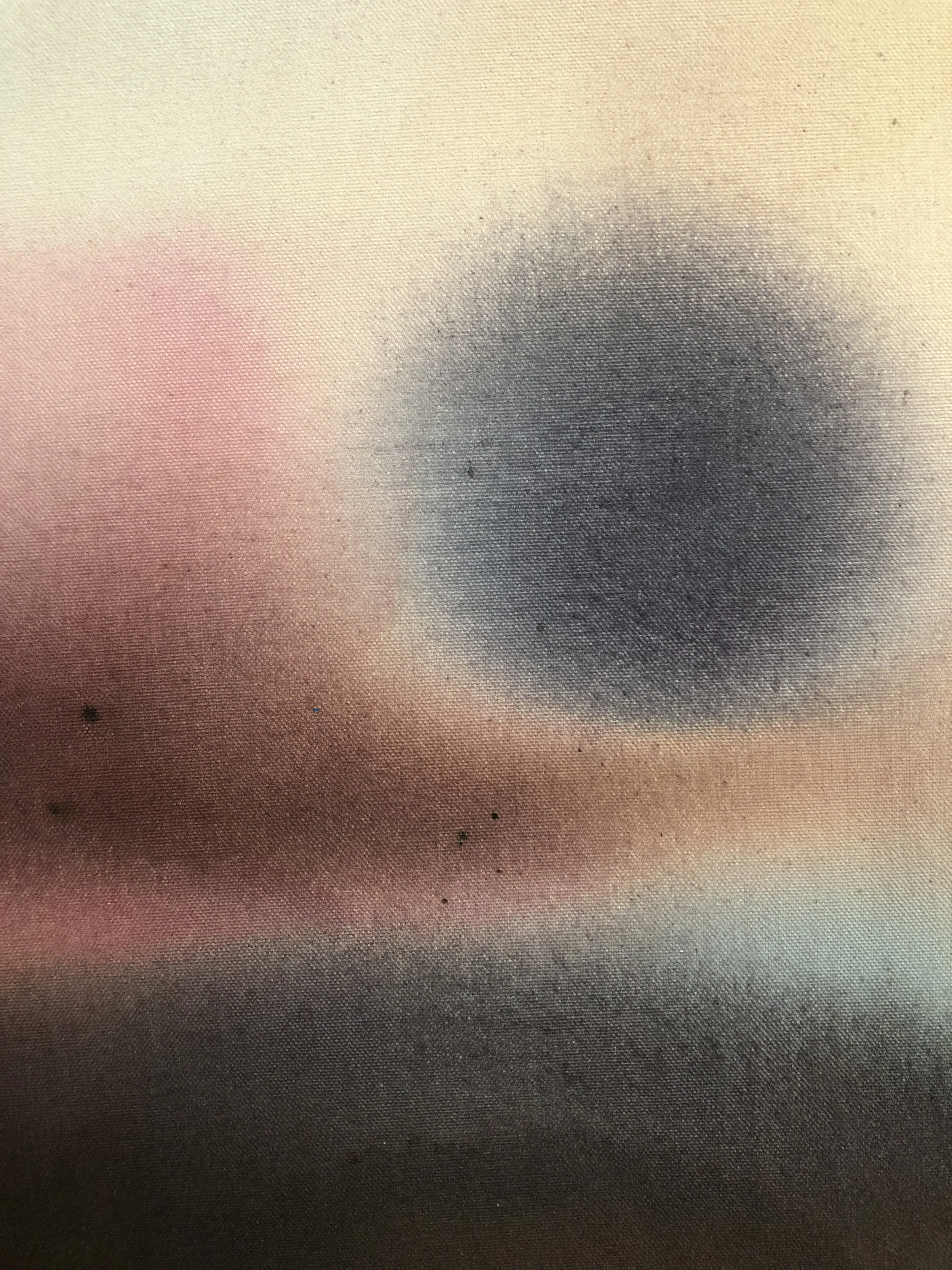 What Transpires detail 3.JPG