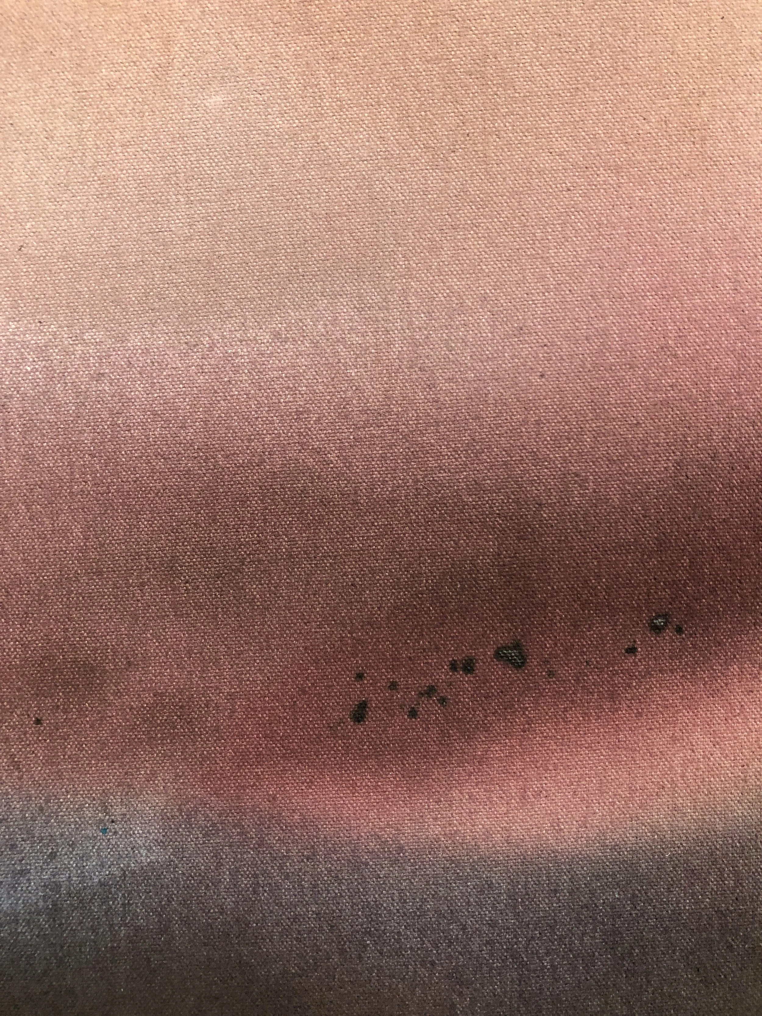 What transpires detail 2.JPG