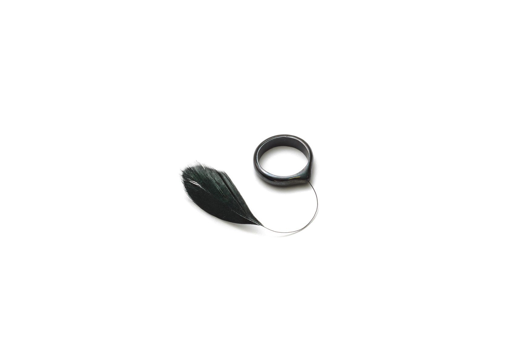 bird feather_1700.jpg