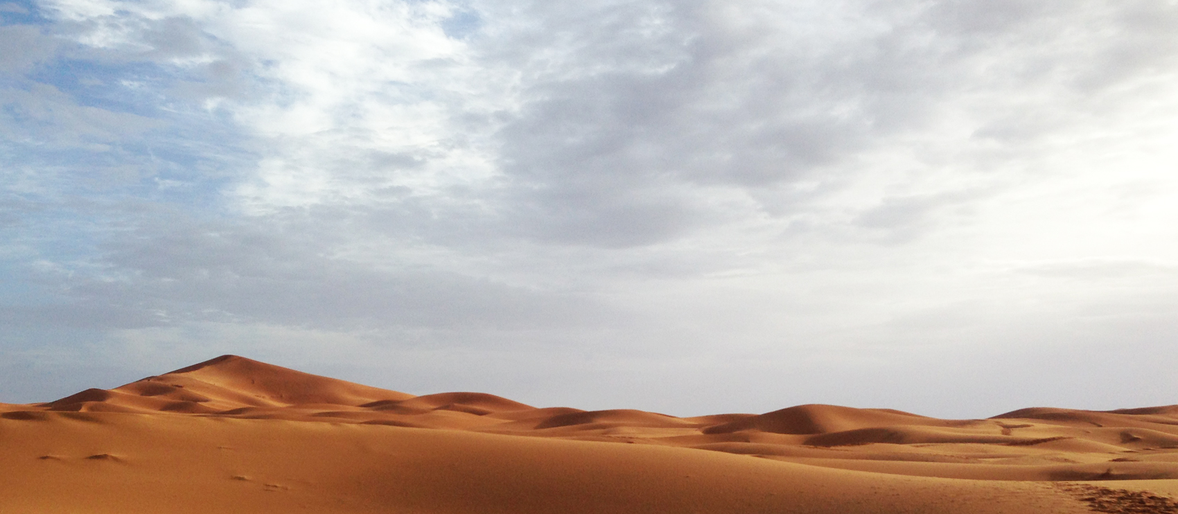 desert_o_1700.jpg