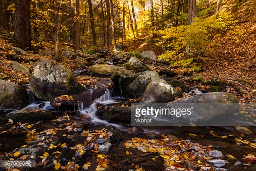Photo by vkbhat/iStock / Getty Images