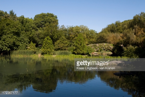 Photo by Klaas Lingbeek- van Kranen/iStock / Getty Images