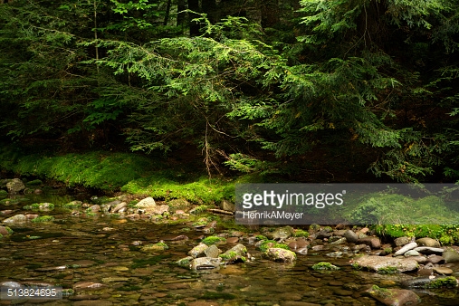 Photo by HenrikAMeyer/iStock / Getty Images