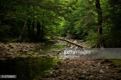 Photo by HenrikAMeyer/iStock / Getty Images