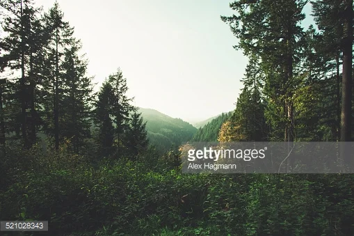 Photo by Alex Hagmann/iStock / Getty Images