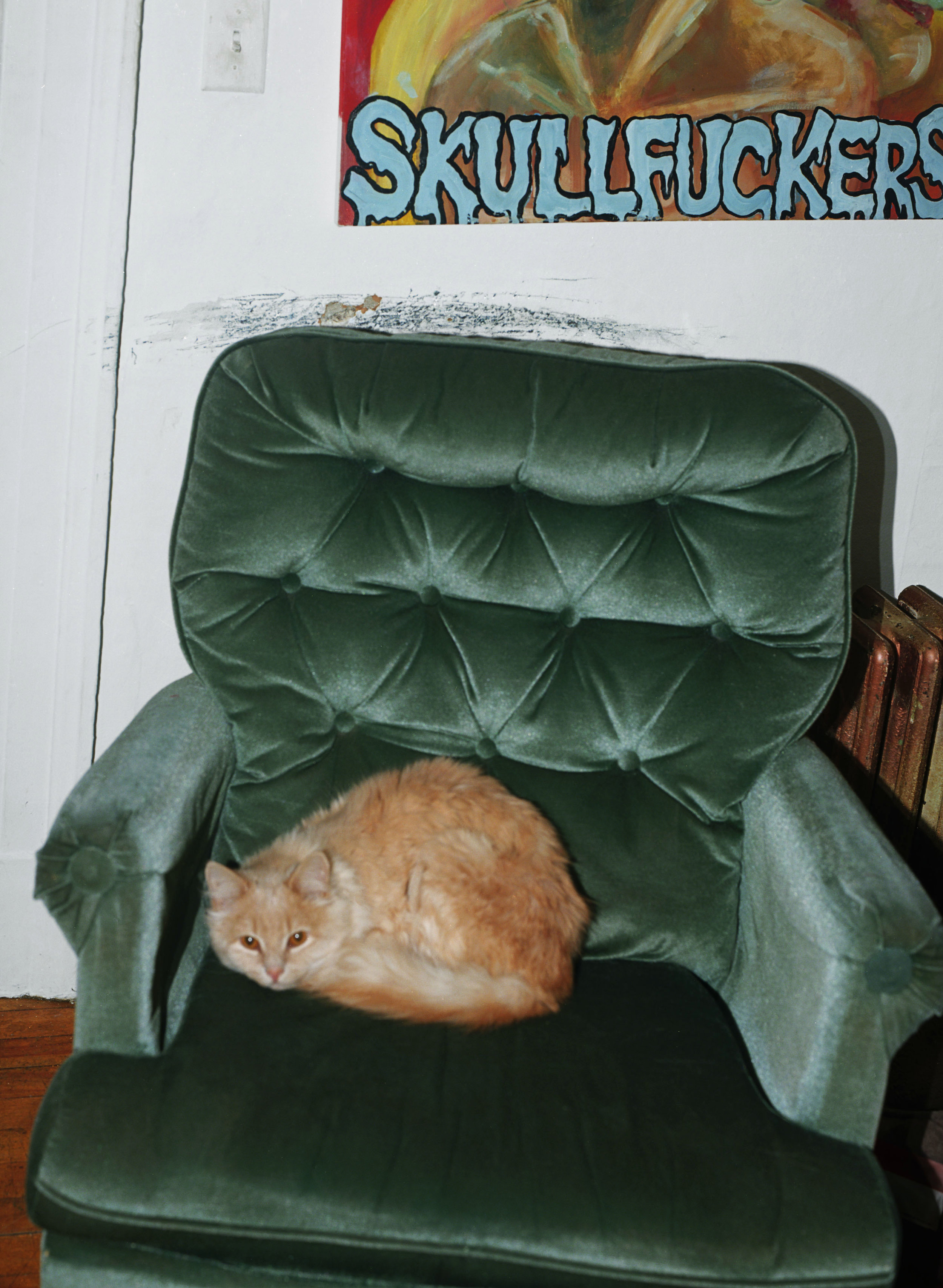 skullfuckers056 2.jpg