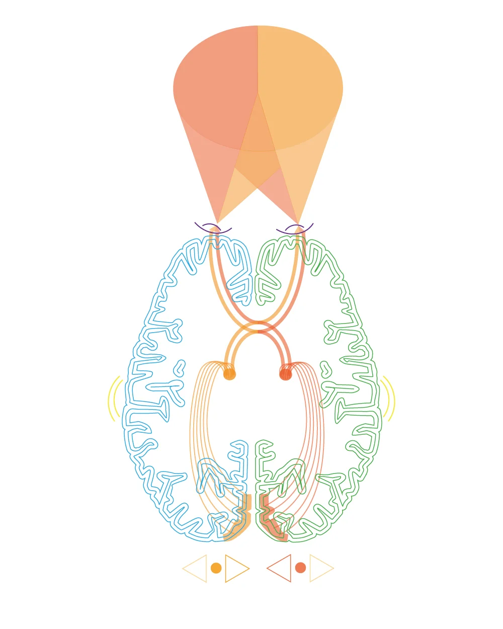 Visual Thinking Strategies Course