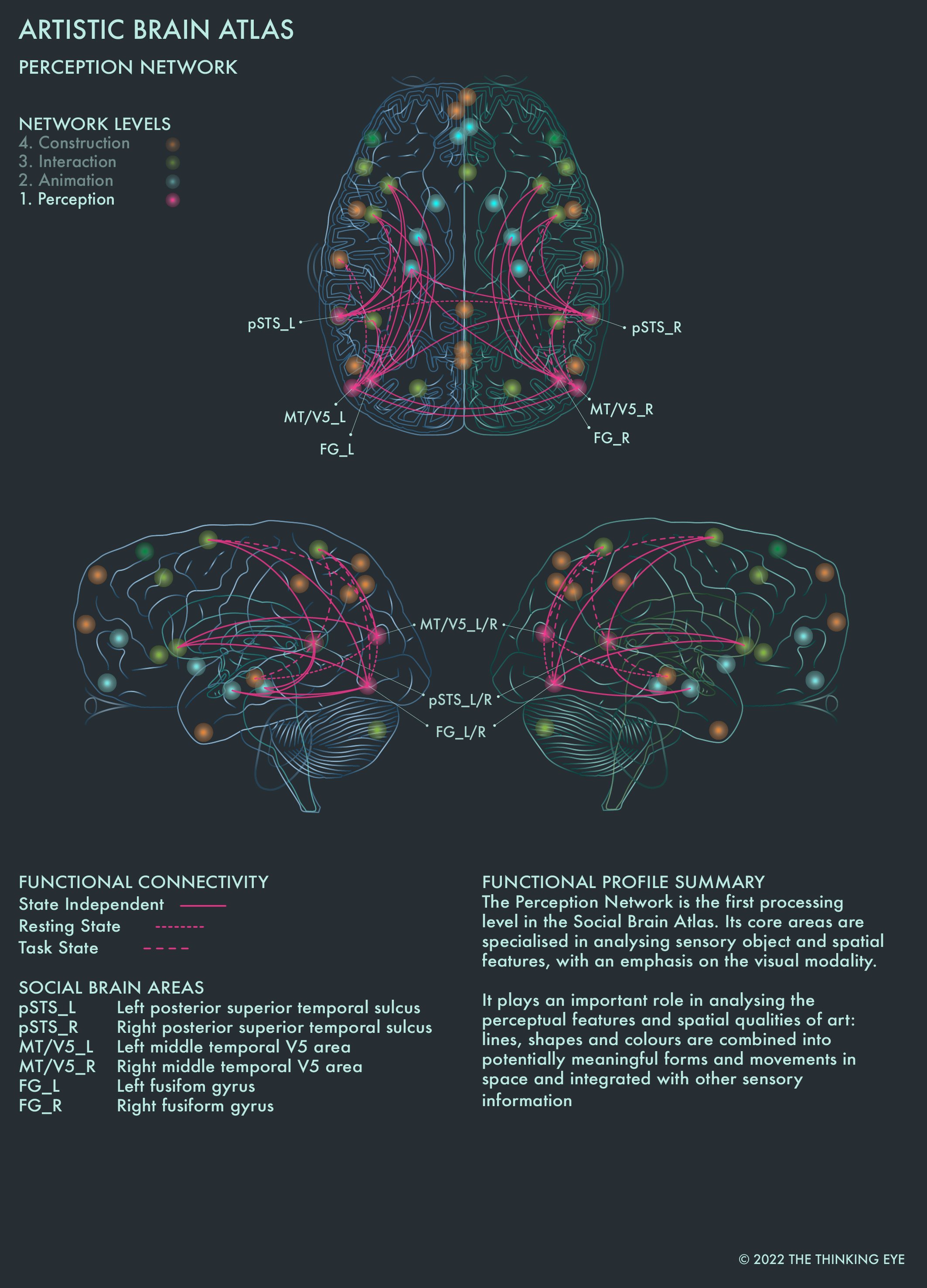 01 PN_Artistic Brain Atlas_Overview Social Brain Atlas.jpg