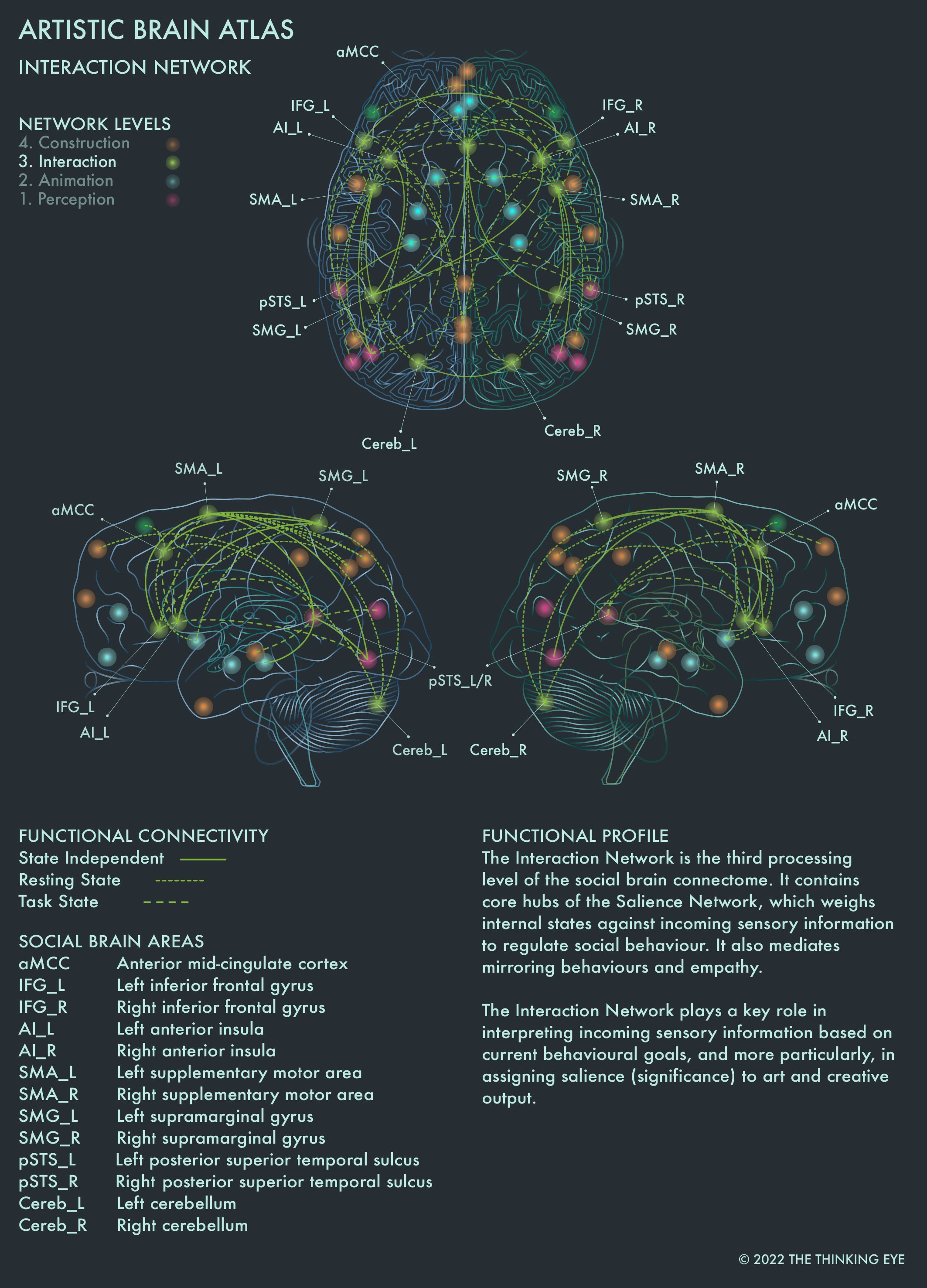 03 IN_Artistic Brain Atlas_Overview Social Brain Atlas.jpg