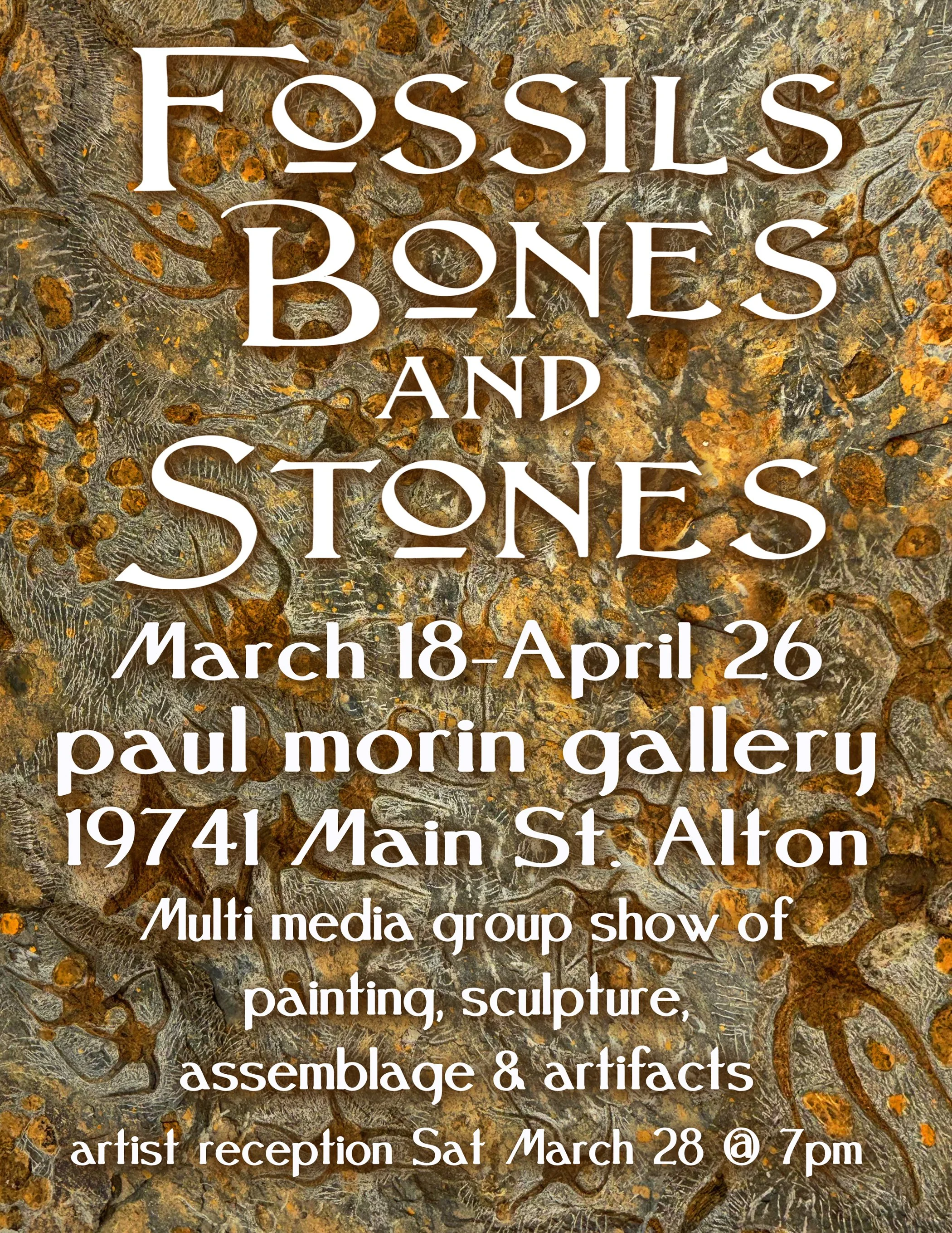 Fossils Bones and Stones - Paul Morin Gallery