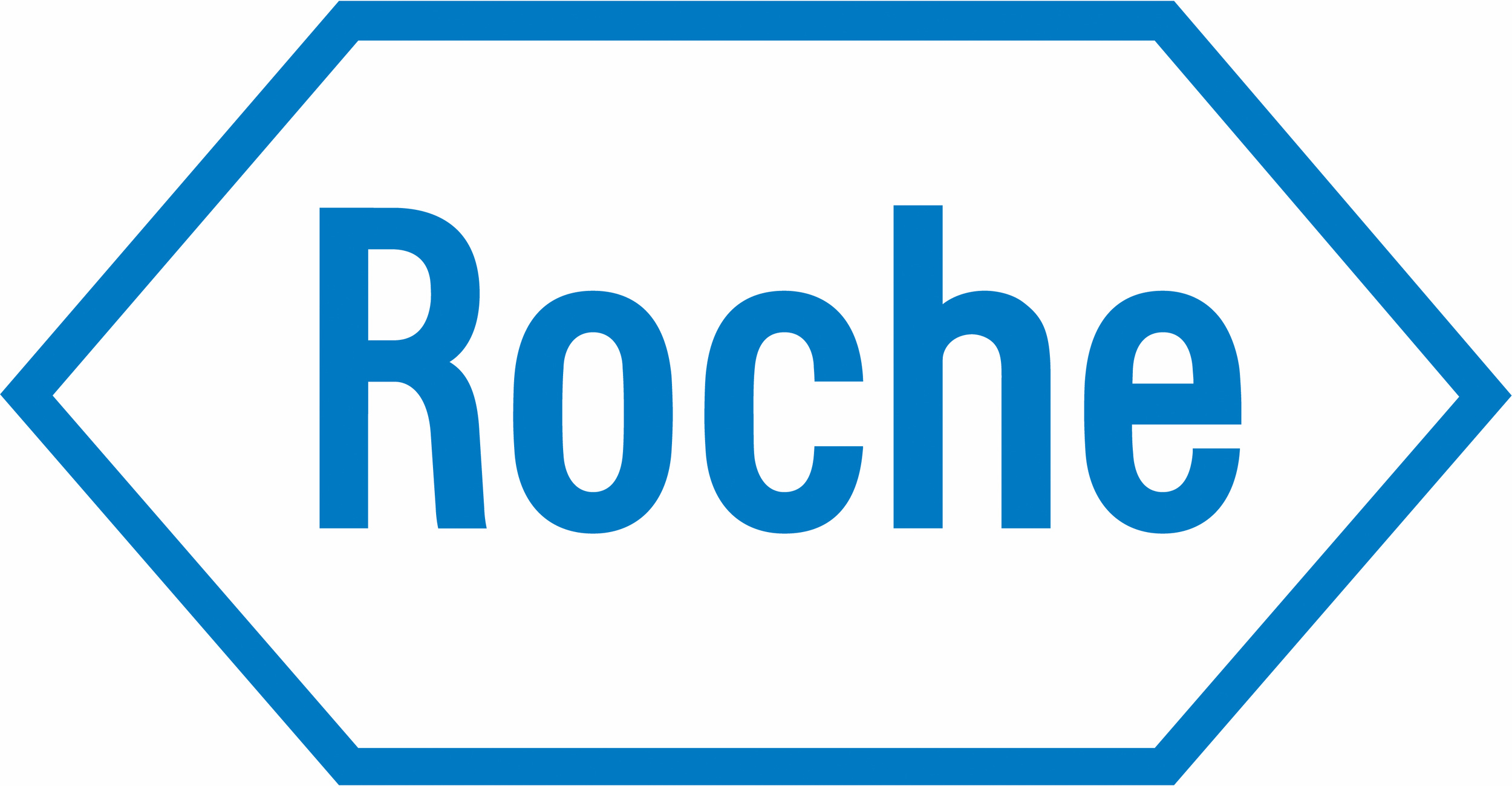 Roche Logo 3001.jpg